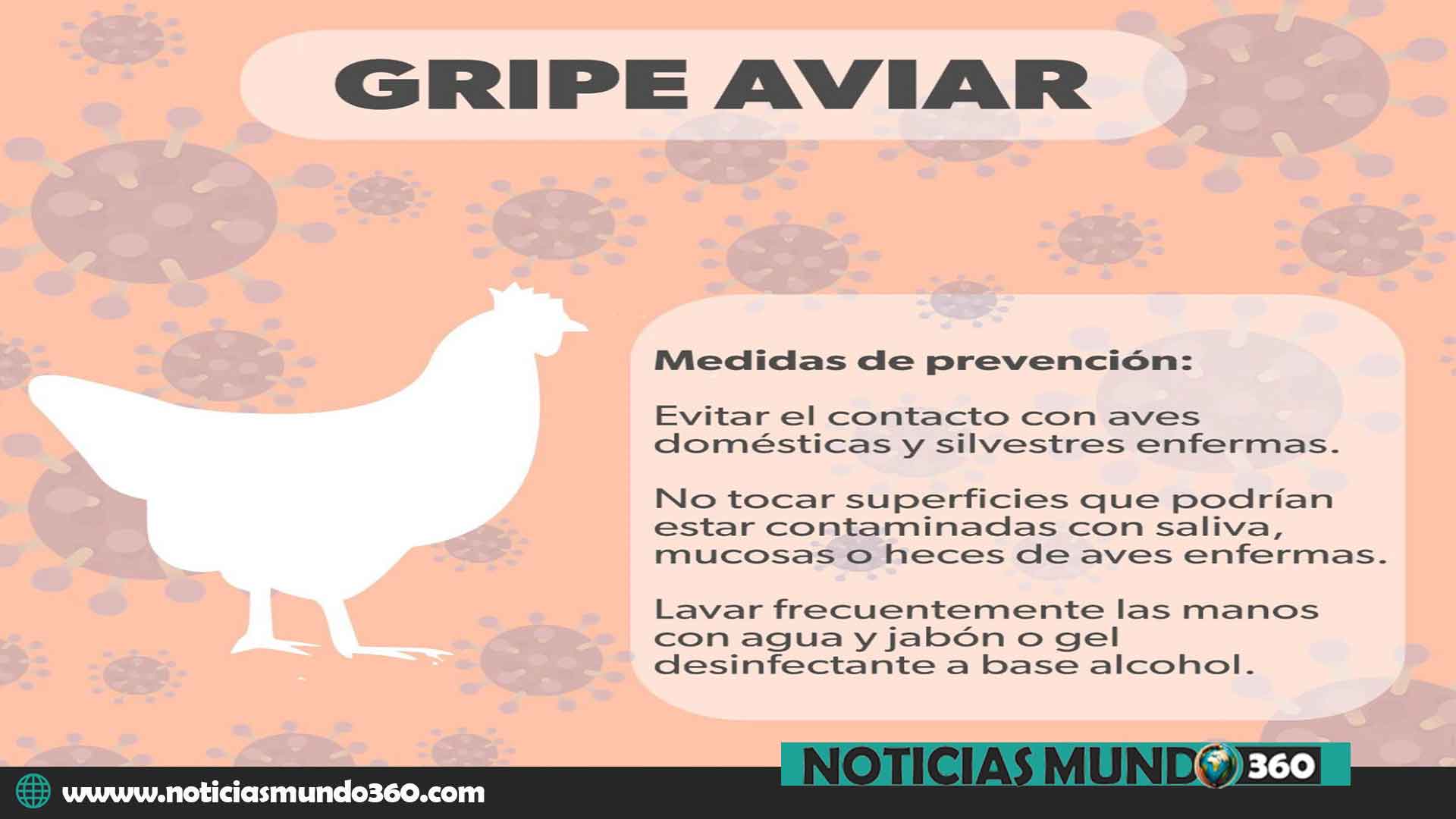 OMS gripe aviar H5N1 1