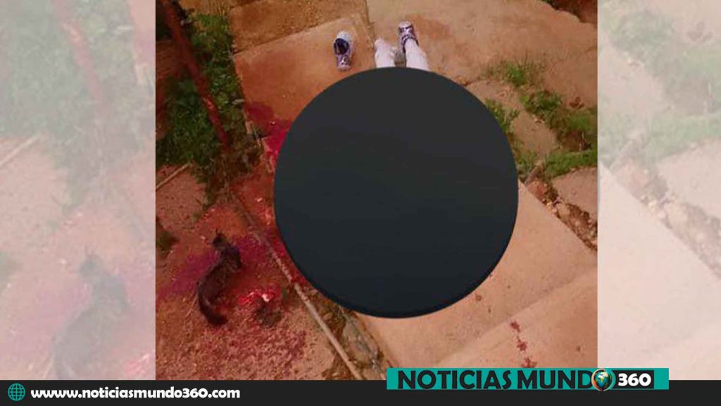 Violento Asesinato en Petare
