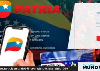 Subsidios 15 Diciembre Montos